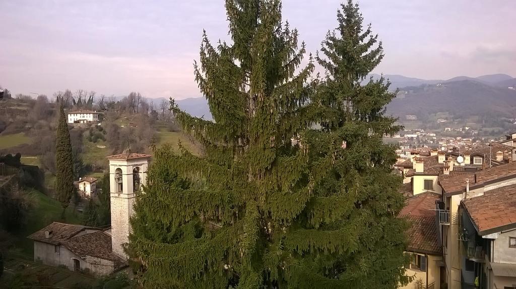 B&B Bergamo Alta Habitación foto